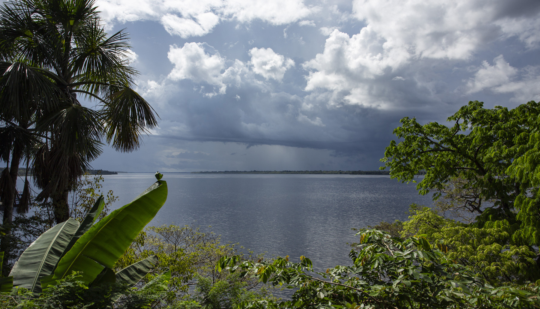 Amazônia Sustentável