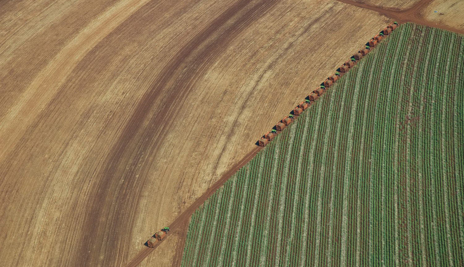Inovação Tecnológica e Sustentabilidade