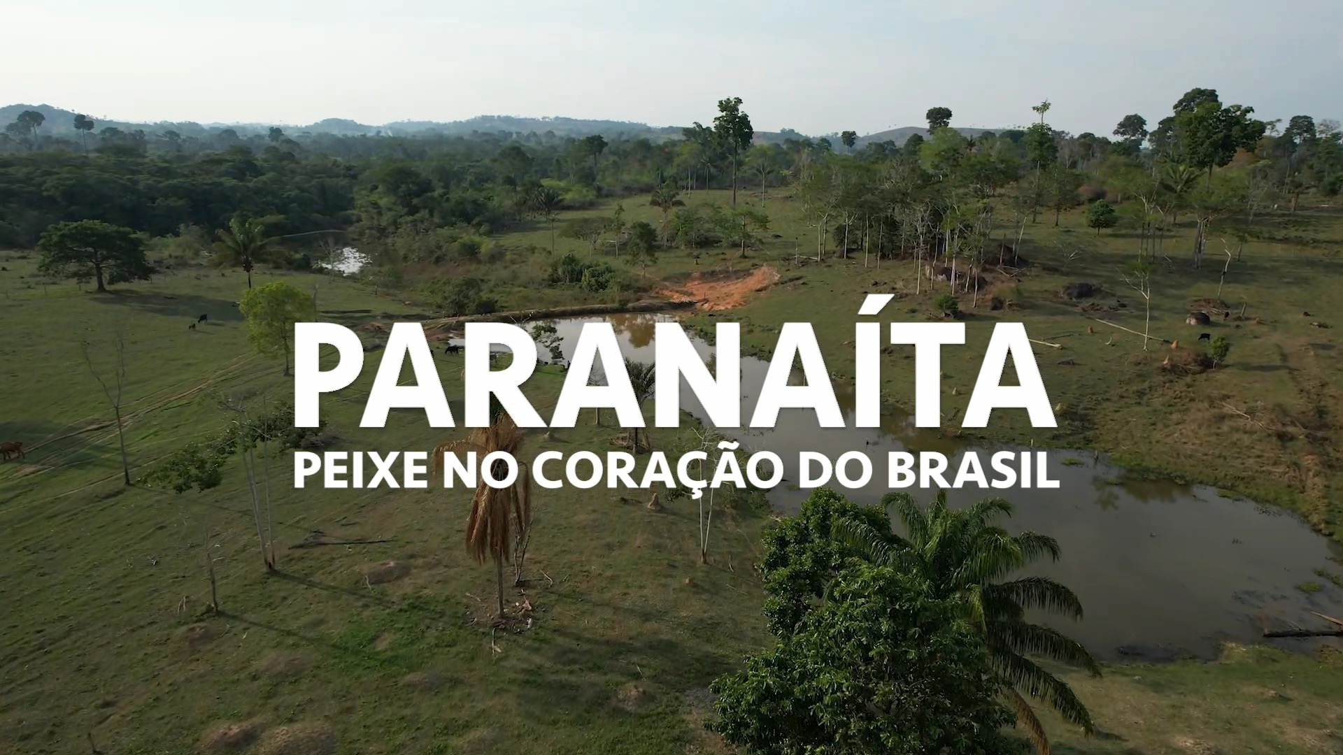 Sustentabilidade